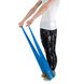 Стрічка-еспандер для спорту та реабілітації Power System PS-4121 Flat Stretch Band Level 1 Blue (1-2,5кг.) 1411784013 фото 2