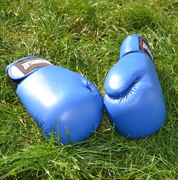 Боксерські рукавиці PowerPlay 3004 Classic Сині 16 унцій 855261247 фото
