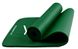 Килимок для йоги та фітнесу PowerPlay 4151 NBR Performance Mat Зелений (183x61x1.5) 1322699917 фото 3