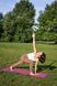 Килимок для йоги та фітнесу PowerPlay 4010 PVC Yoga Mat Рожевий (173x61x0.6) 1462002577 фото 8